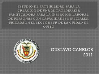 GUSTAVO CANELOS 2011