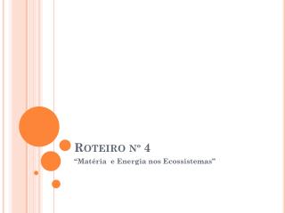 Roteiro nº 4