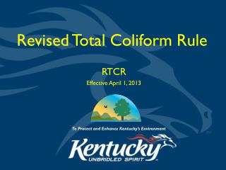 Revised Total Coliform Rule