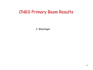 CNGS Primary Beam Results