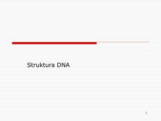 Struktura DNA