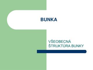 BUNKA