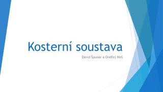 Kosterní soustava