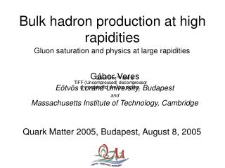 Bulk hadron production at high rapidities