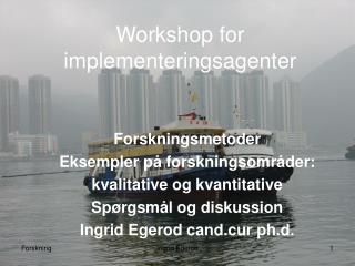 Workshop for implementeringsagenter