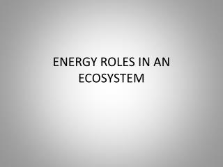 ENERGY ROLES IN AN ECOSYSTEM