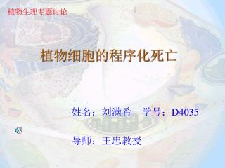 植物细胞的程序化死亡