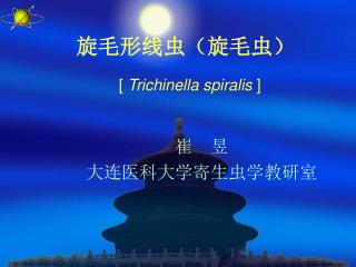 旋毛形线虫（旋毛虫） [ Trichinella spiralis ]