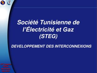 Société Tunisienne de l’Électricité et Gaz (STEG)