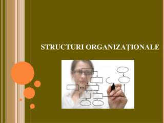 STRUCTURI ORGANIZAŢIONALE