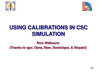 USING CALIBRATIONS IN CSC SIMULATION