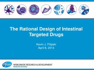 The Rational Design of Intestinal Targeted Drugs