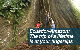 Ecuador-Amazon: The trip of a lifetime is at your finge r tips