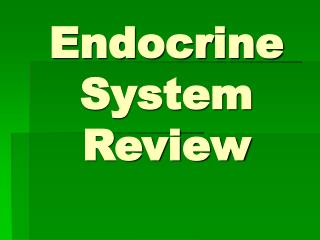 Endocrine System Review
