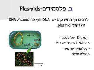 ב. פלסמידים- Plasmids