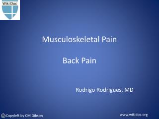 Musculoskeletal Pain Back Pain