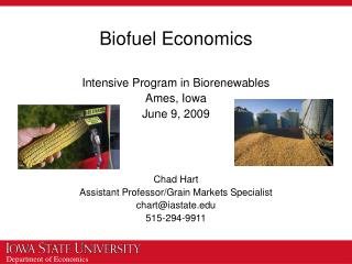 Biofuel Economics