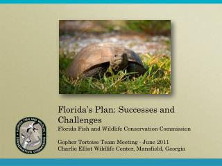 Florida’s Plan: Successes and Challenges