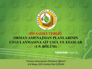 295 SAYILI TEBLİĞ ORMAN AMENAJMAN PLANLARININ UYGULANMASINA AİT USUL VE ESASLAR (1-9. BÖLÜM)