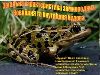 Загальна характеристика земноводних. Зовнішня та внутрішня будова.