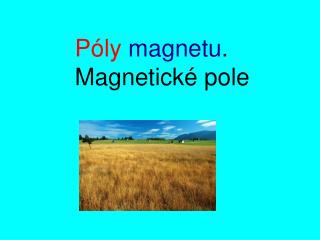 Póly magnetu . Magnetické pole