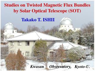 Studies on Twisted Magnetic Flux Bundles by Solar Optical Telescope (SOT)