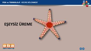 EŞEYSİZ ÜREME