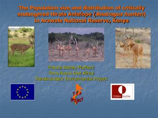 Francis Kamau Muthoni Terra Nuova East Africa Transboundary Environmental Project