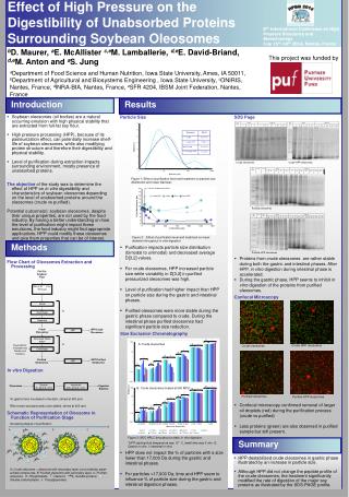 Effect of High Pressure on the Digestibility of Unabsorbed Proteins Surrounding Soybean Oleosomes