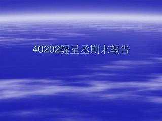 40202 羅星丞期末報告