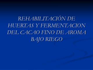 REHABILITACIÓN DE HUERTAS Y FERMENTACION DEL CACAO FINO DE AROMA BAJO RIEGO