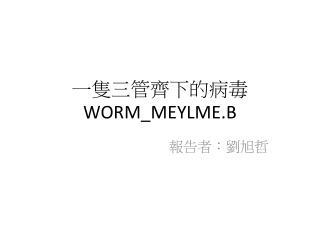 一隻三管齊下的病毒 WORM_MEYLME.B