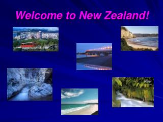 Welcome to New Zealand!