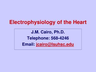 Electrophysiology of the Heart