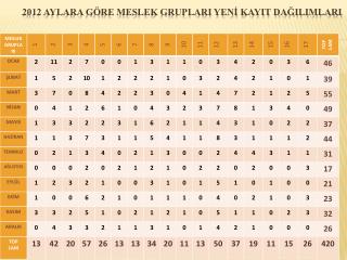 2012 AYLARA GÖRE MESLEK GRUPLARI YENİ KAYIT DAĞILIMLARI