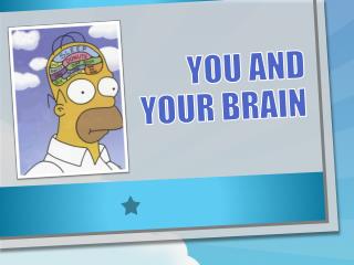 You and your brain