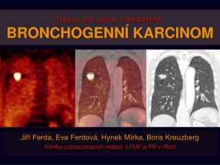 Nádory plic, pleury a mediastina: BRONCHOGENNÍ KARCINOM