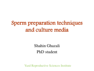 Sperm preparation techniques and culture media