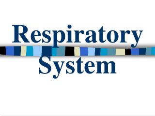 Respiratory System