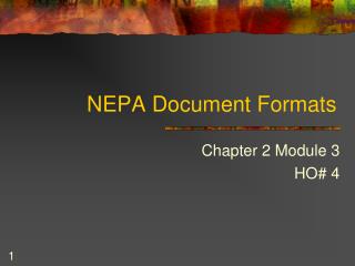 NEPA Document Formats