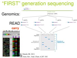 Genomics: 	READING genome sequences	 	ASSEMBLY of the sequence 	ANNOTATION of the sequence