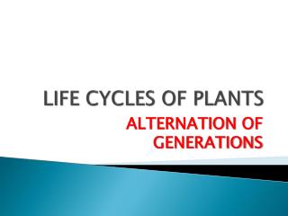 LIFE CYCLES OF PLANTS