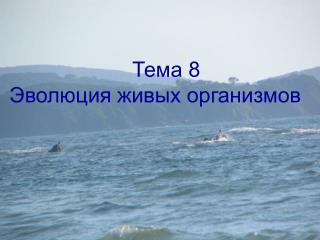 Тема 8 Эволюция живых организмов