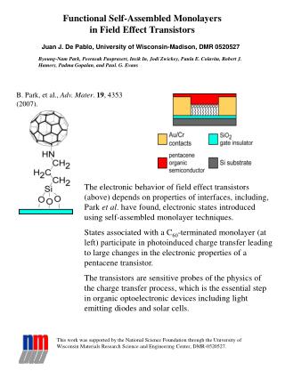 Functional Self-Assembled Monolayers in Field Effect Transistors