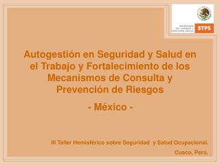 III Taller Hemisférico sobre Seguridad y Salud Ocupacional. Cusco, Perú.