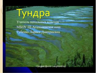 Тундра