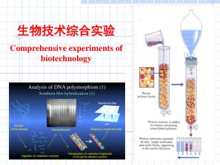 生物技术综合实验 Comprehensive experiments of biotechnology