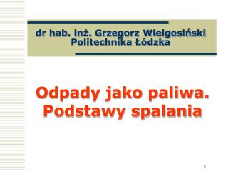 dr hab. inż. Grzegorz Wielgosiński Politechnika Łódzka