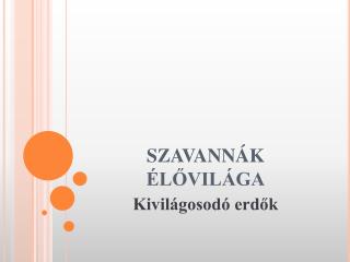 SZAVANNÁK ÉLŐVILÁGA