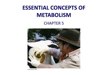 ESSENTIAL CONCEPTS OF METABOLISM